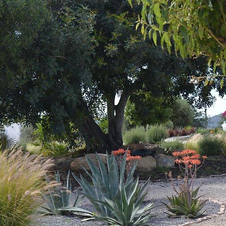 Quinta Luz Do Sol Bed & Breakfast Moncarapacho Dış mekan fotoğraf