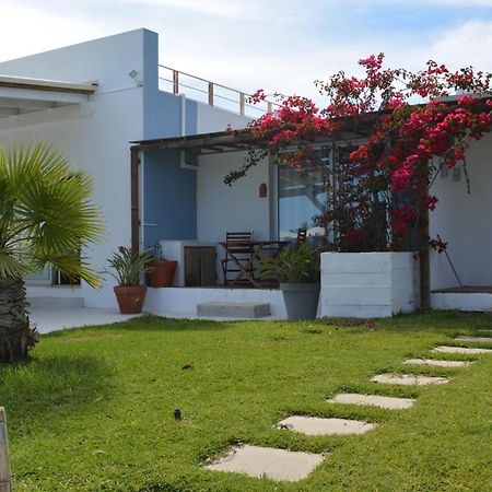 Quinta Luz Do Sol Bed & Breakfast Moncarapacho Dış mekan fotoğraf