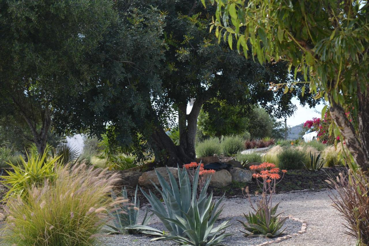 Quinta Luz Do Sol Bed & Breakfast Moncarapacho Dış mekan fotoğraf