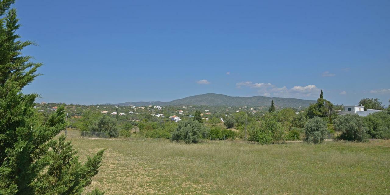 Quinta Luz Do Sol Bed & Breakfast Moncarapacho Dış mekan fotoğraf